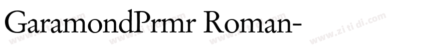 GaramondPrmr Roman字体转换